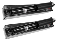 Amortyzatory tylne Renault Scenic I / Megane Scenic 2sztuki